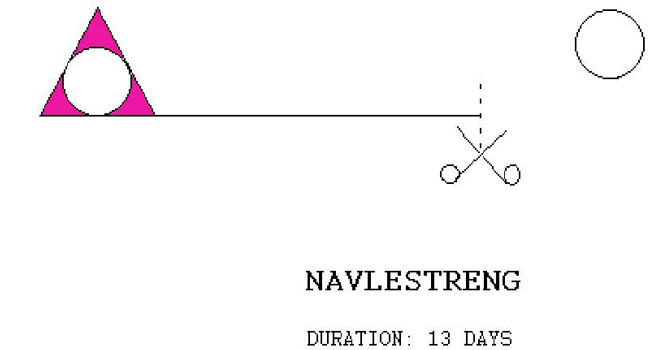 The 6th performance of RULE PINK: NAVLESTRENG